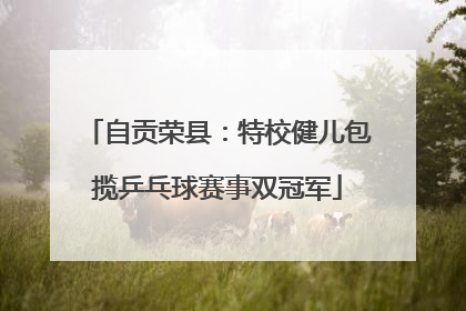 自贡荣县：特校健儿包揽乒乓球赛事双冠军