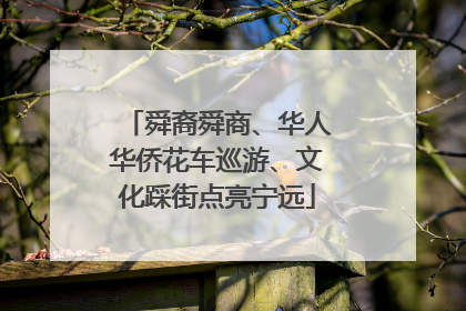 舜裔舜商、华人华侨花车巡游、文化踩街点亮宁远