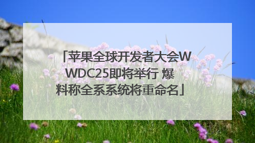 苹果全球开发者大会WWDC25即将举行 爆料称全系系统将重命名