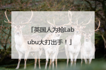 英国人为抢Labubu大打出手！