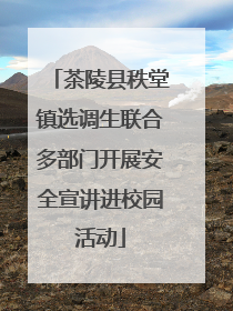 茶陵县秩堂镇选调生联合多部门开展安全宣讲进校园活动