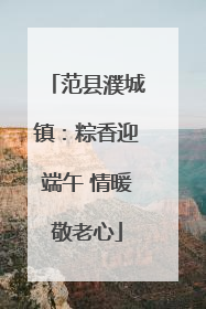 范县濮城镇：粽香迎端午 情暖敬老心