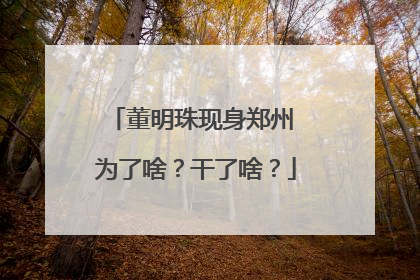 董明珠现身郑州 为了啥？干了啥？