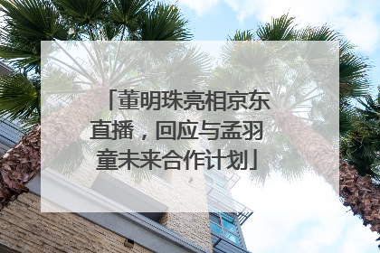 董明珠亮相京东直播，回应与孟羽童未来合作计划