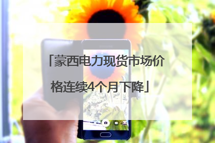 蒙西电力现货市场价格连续4个月下降