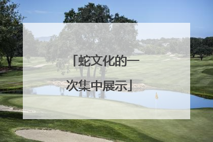 蛇文化的一次集中展示