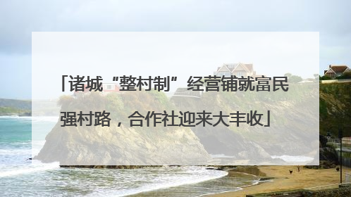 诸城“整村制”经营铺就富民强村路，合作社迎来大丰收