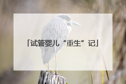 试管婴儿“重生”记