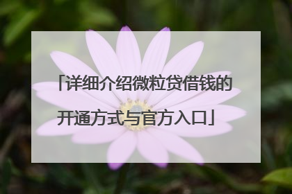 详细介绍微粒贷借钱的开通方式与官方入口