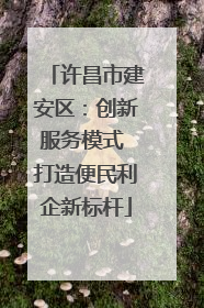 许昌市建安区：创新服务模式 打造便民利企新标杆