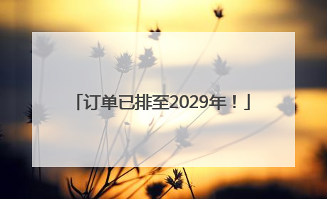 订单已排至2029年！