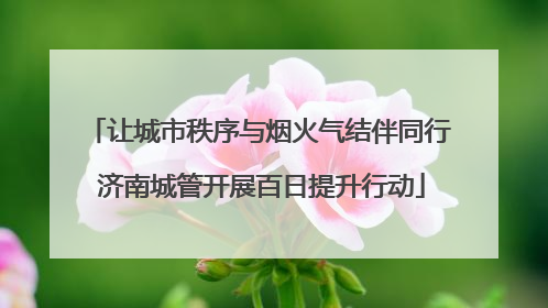 让城市秩序与烟火气结伴同行 济南城管开展百日提升行动