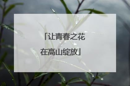 让青春之花在高山绽放