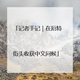 记者手记｜在厄特街头收获中文问候