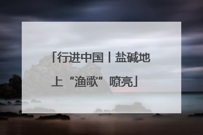 行进中国丨盐碱地上“渔歌”嘹亮
