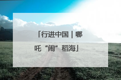 行进中国｜哪吒“闹”稻海