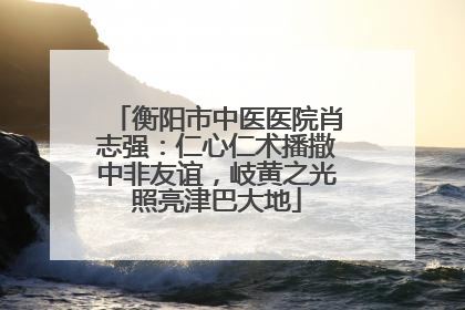 衡阳市中医医院肖志强：仁心仁术播撒中非友谊，岐黄之光照亮津巴大地