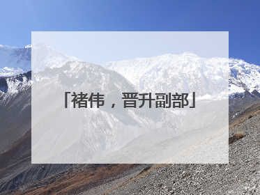 褚伟，晋升副部