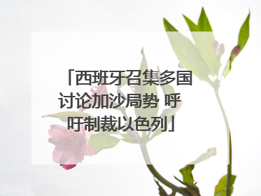 西班牙召集多国讨论加沙局势 呼吁制裁以色列