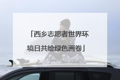 西乡志愿者世界环境日共绘绿色画卷