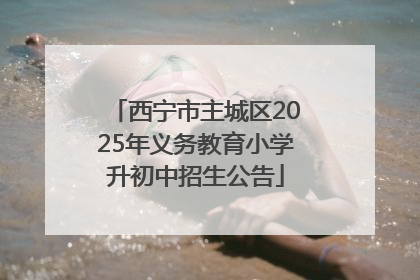 西宁市主城区2025年义务教育小学升初中招生公告