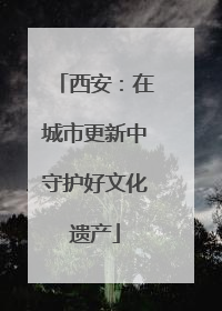 西安：在城市更新中守护好文化遗产
