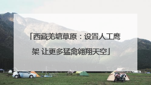 西藏羌塘草原：设置人工鹰架 让更多猛禽翱翔天空