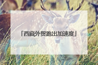 西藏外贸跑出加速度