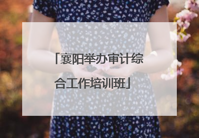 襄阳举办审计综合工作培训班
