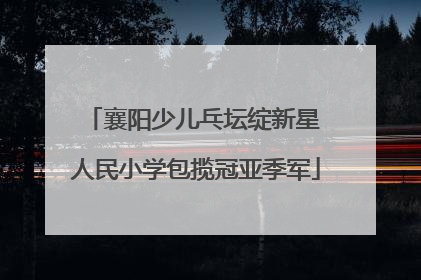 襄阳少儿乓坛绽新星 人民小学包揽冠亚季军