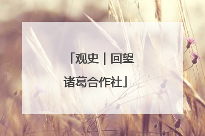 观史｜回望诸葛合作社