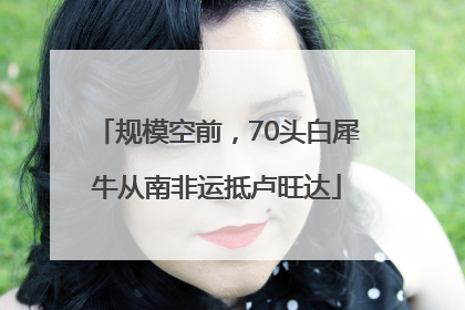 规模空前，70头白犀牛从南非运抵卢旺达