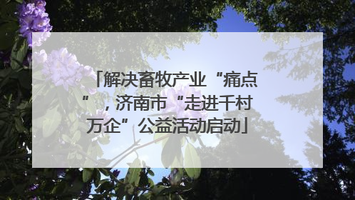 解决畜牧产业“痛点”，济南市“走进千村万企”公益活动启动