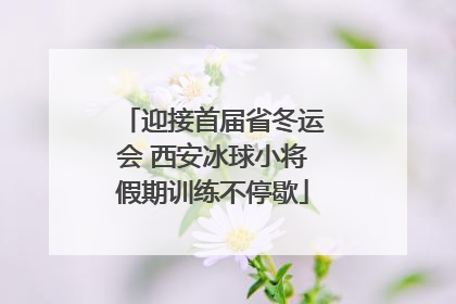 迎接首届省冬运会 西安冰球小将假期训练不停歇