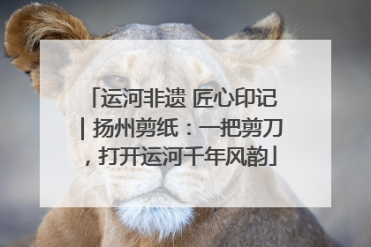 运河非遗 匠心印记｜扬州剪纸：一把剪刀，打开运河千年风韵