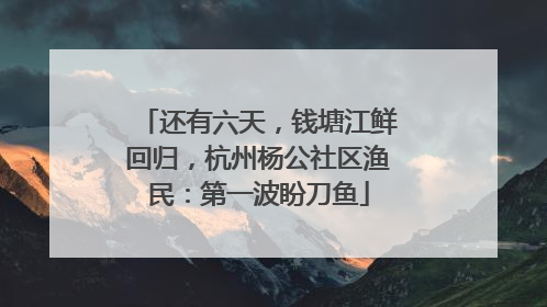 还有六天，钱塘江鲜回归，杭州杨公社区渔民：第一波盼刀鱼