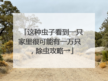 这种虫子看到一只家里很可能有一万只，除虫攻略→