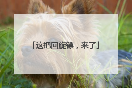 这把回旋镖，来了