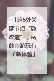 这5处关键节点“微改造”，岳麓山游玩有了新体验