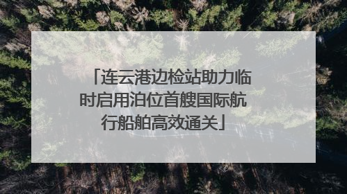 连云港边检站助力临时启用泊位首艘国际航行船舶高效通关