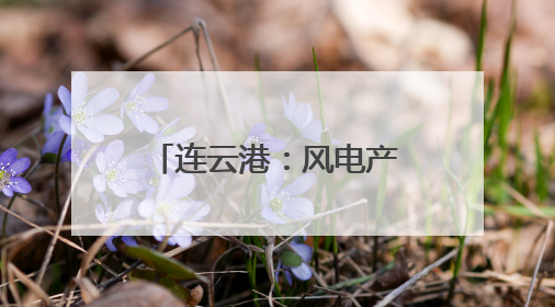 连云港：风电产业“风光”无限
