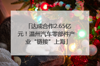 达成合作2.65亿元！温州汽车零部件产业“链接”上海