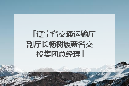 辽宁省交通运输厅副厅长杨树履新省交投集团总经理