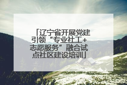 辽宁省开展党建引领“专业社工+志愿服务”融合试点社区建设培训