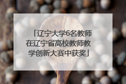 辽宁大学6名教师在辽宁省高校教师教学创新大赛中获奖