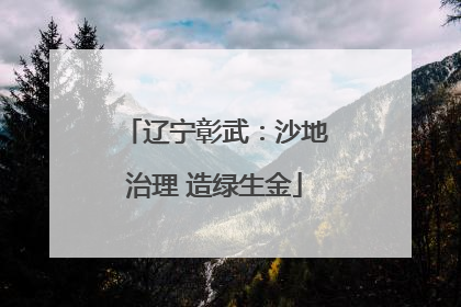 辽宁彰武：沙地治理 造绿生金