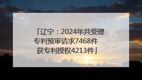 辽宁：2024年共受理专利预审请求7468件 获专利授权4213件