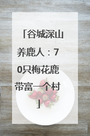 谷城深山养鹿人：70只梅花鹿带富一个村