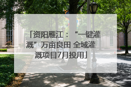 资阳雁江：“一键灌溉”万亩良田 全域灌溉项目7月投用