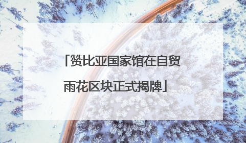 赞比亚国家馆在自贸雨花区块正式揭牌